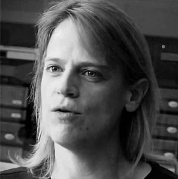 portrait of a professional woman