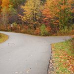 road thru fall trees