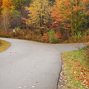road the autumn trees