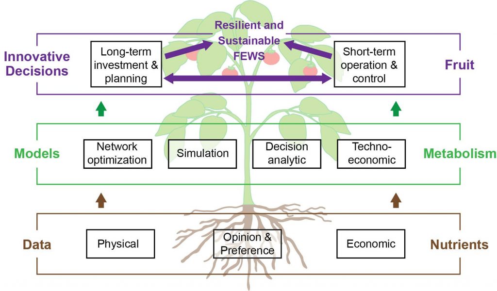 figure showing the interconnection of data, models and innovative decisions