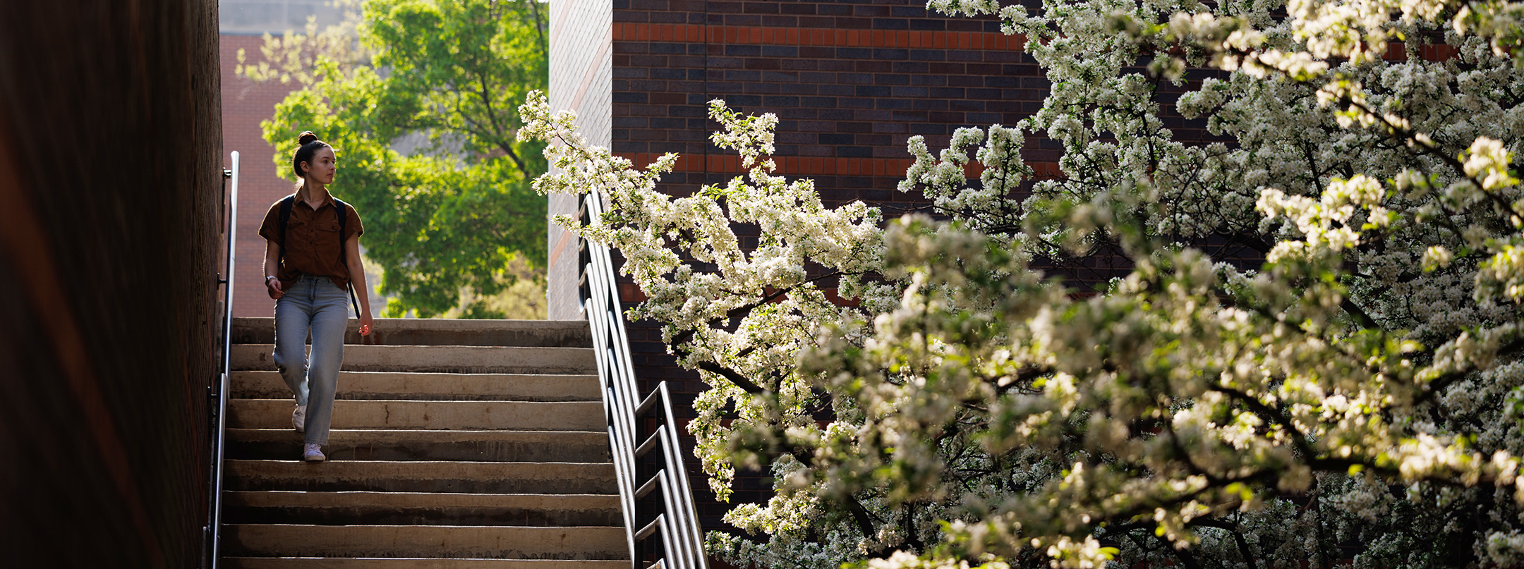 student walking past flowering trees