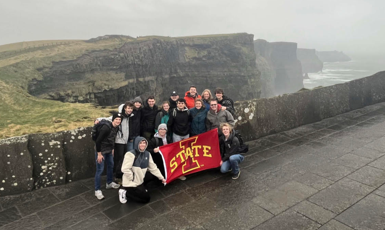 Limerick Picture